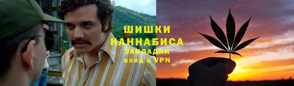 дмт Нязепетровск
