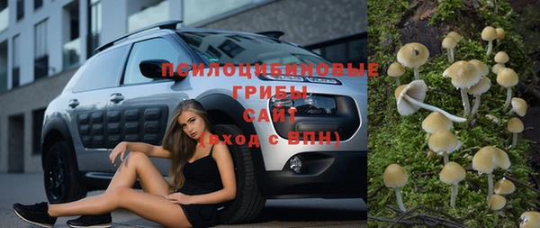 дмт Нязепетровск