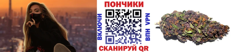 Конопля конопля  Мурино 