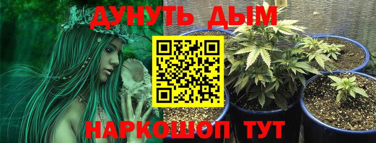Марихуана Bruce Banner Мурино